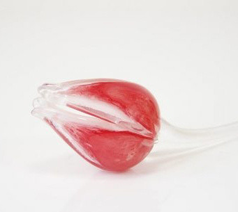 Loranto + Tulp, rood-wit